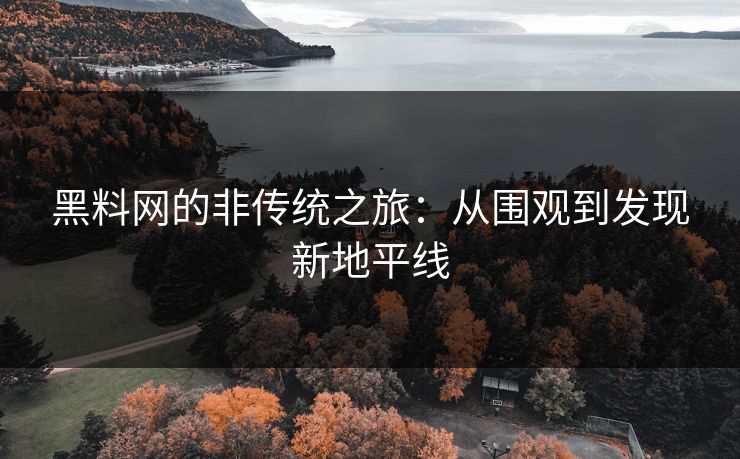 黑料网的非传统之旅：从围观到发现新地平线